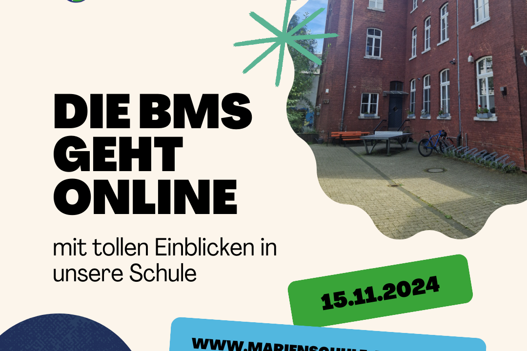 Die BMS geht online