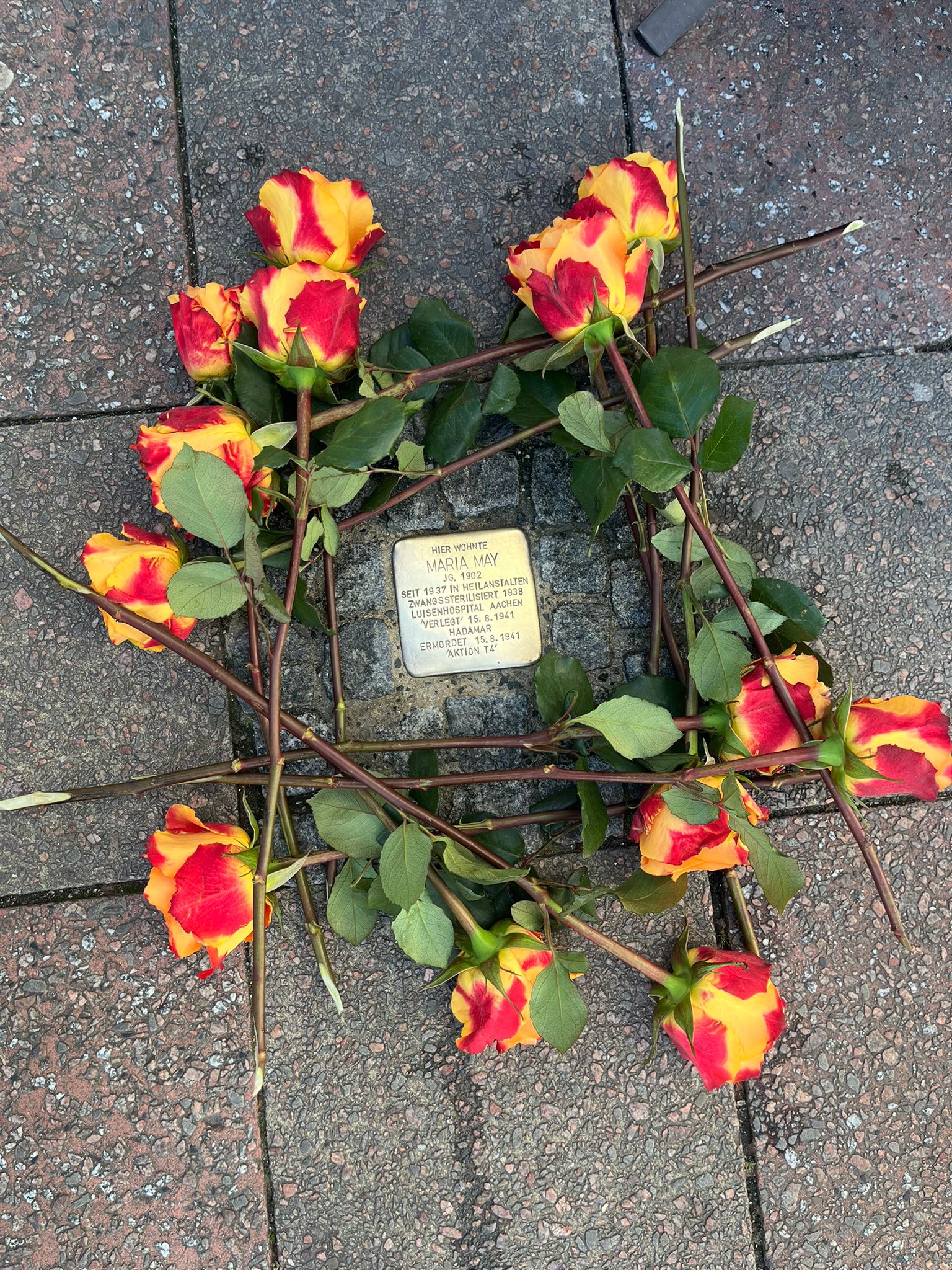Stolpersteinreinigung 2025_2